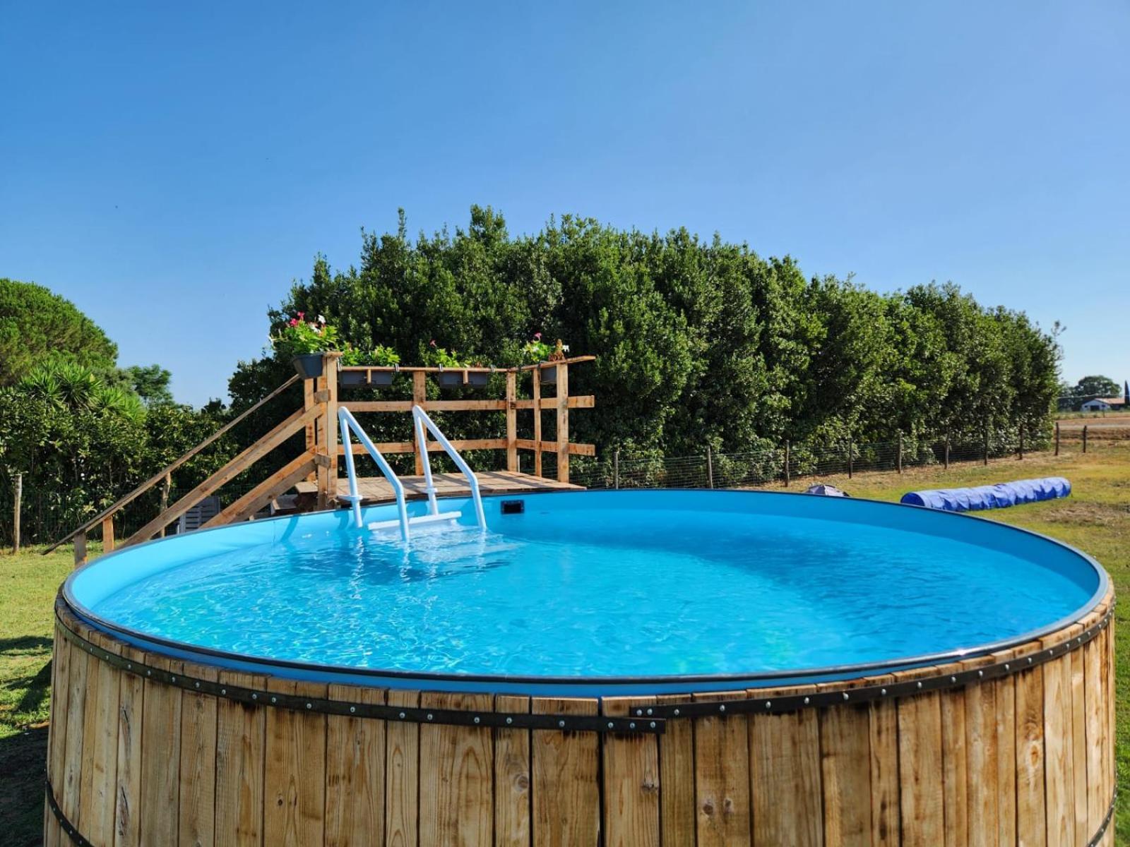 Agriturismo Il Roseto マリーナ・ディ・グロッセート エクステリア 写真